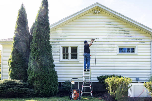 Trusted Belle, MO Pressure Washing Experts